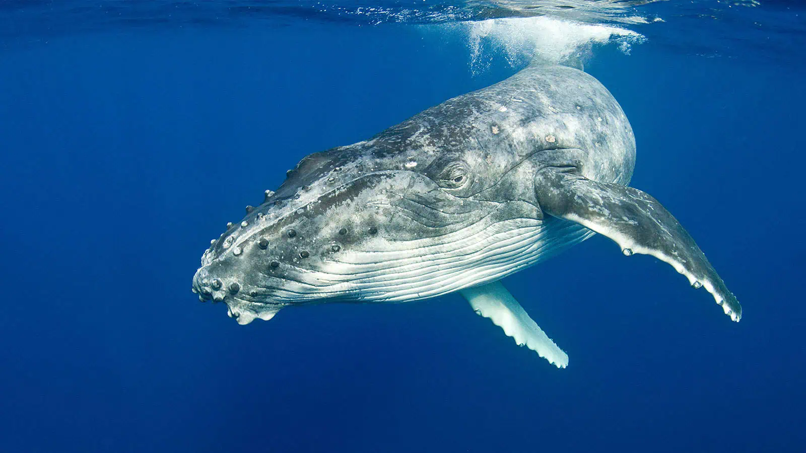 Learning Experience Design Inspire Environmental